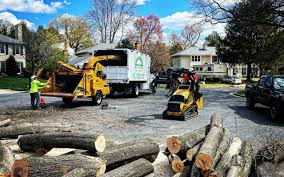 Reliable Waurika, OK  Tree Services Solutions